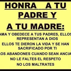 Meet your Posher, Lidia